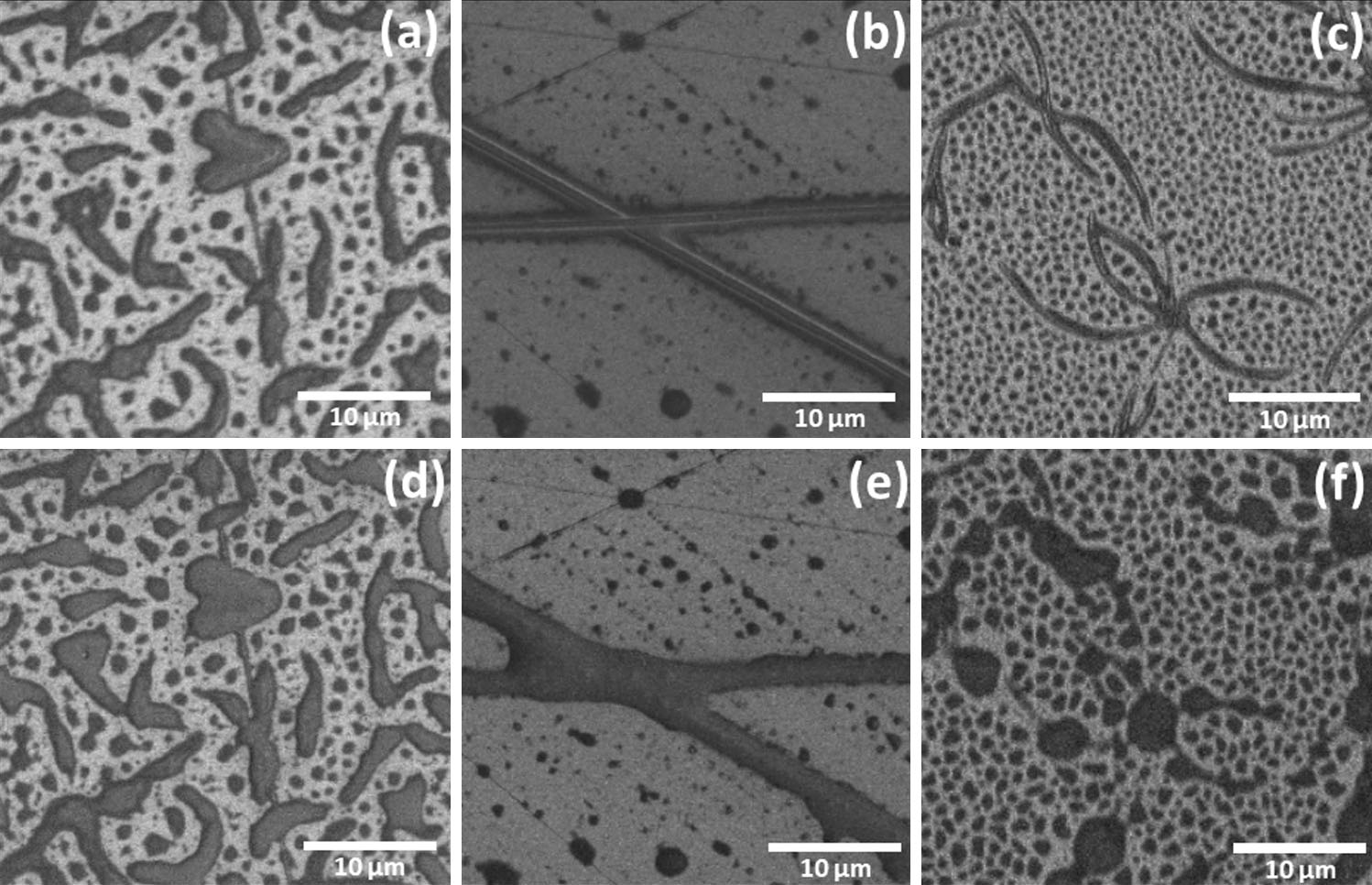 Meat and fish freshness evaluation by functionalized cantilever-based biosensor - 2019