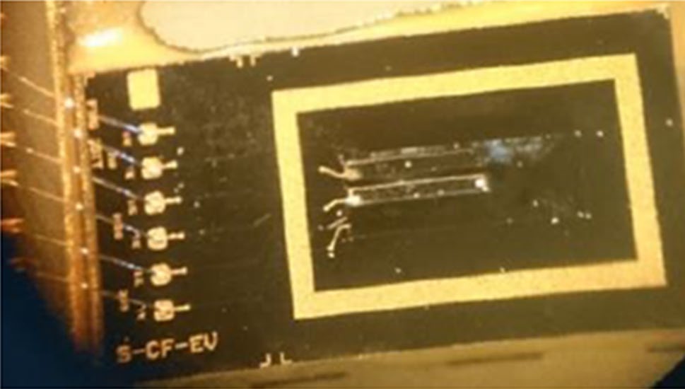 Micro-cantilever for optical sensing of biogenic amines - 2017